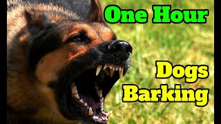 Dogs Barking for One Hour  barking sounds for 60 minutes of different breeds of dogs [upl. by Clymer]