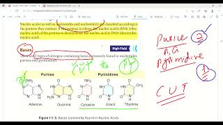 Nucleotide structure and nomenclature  Molecular biology  Biochemistry  First Aid Lectures  Lec2 [upl. by Stickney956]