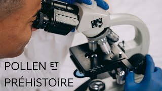 Comprendre lHomme préhistorique grâce au pollen [upl. by Einahpts]