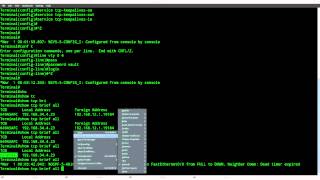 TCP Keepalive on Cisco IOS [upl. by Anial]