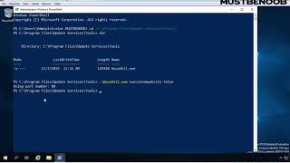 LAB GUIDE70 How to Change the Port Number in WSUS Server 2019 [upl. by Niamjneb]