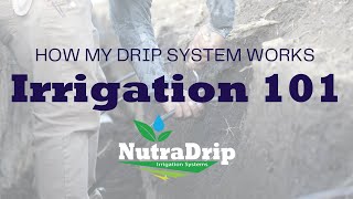 Irrigation 101 for Subsurface Drip Irrigation [upl. by Edris]