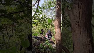 Adivilo memu chasina Racha with missilegoud1010 trekking forest explore funnyvideo shorts [upl. by Enirehtacyram]