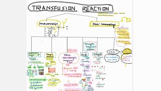 Blood transfusion reactions [upl. by Ahsercel]