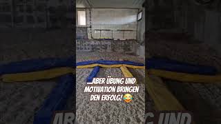 Das erste Spingtraining für Bellamie 🤩 minishetty [upl. by Deane571]