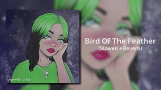 Billie Eilish  BIRDS OF A FEATHER  Slowed amp Reverb [upl. by Aihtniroc399]