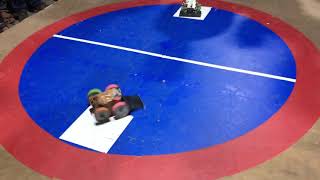 ROBOSUMO FINAL Team Jaguar VS Team GajCyborg COEP MINDSPARK2k18 [upl. by Donell893]