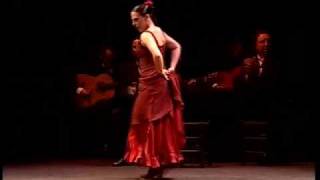 Compagnie Antonio Gades  Suite Flamenca [upl. by Levitt]