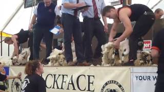 Lochearnhead Shears Senior Final 2017 [upl. by Yauq]