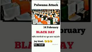 pulwama hamla 14 February 2019 mai huaa tha [upl. by Sachs]