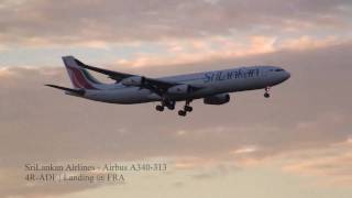 Sri Lankan Airlines Airbus A340300  Landing  Frankfurt Airport FRAEDDF [upl. by Boles895]