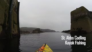 Kayak Fishing Catching Cod at St Abbs [upl. by Odnalro]