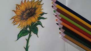 How to draw a sunflower easily★ [upl. by Raybourne208]