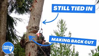 Tree worker makes huge mistake cutting a log he is attached to  CLIMBING ARBORIST BREAKDOWN [upl. by Nnybor]