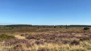 Cannock Chase Staffordshire [upl. by Tahmosh]