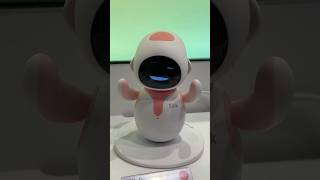 Companion Robot robot petrobot abudhabi kerala india russia shorts [upl. by Godderd]