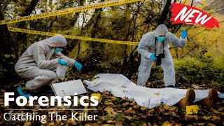 Forensics Catching the Killer S04E05 🔥 A Murder in Butetown 🔥 UK Murder Documentary [upl. by Leggett]