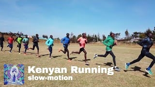 Kenyan Running Slow Motion plus Zane Robertson [upl. by Aenneea694]