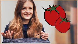 Tomaten im Haus aussäen und vorziehen 🍅 [upl. by Selimah]