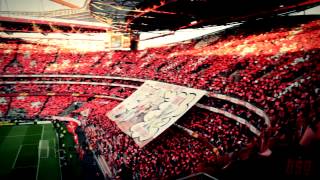 Benfica  Fenerbahce  Coreografia [upl. by Atiker]