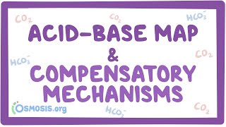 Acidbase map and compensatory mechanisms [upl. by See577]