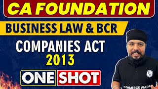 Companies Act 2013 in One Shot  CA Foundation  Law amp BCR🔥 [upl. by Kiley]