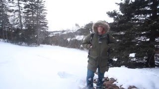 Best Mens winter jacket Helly Hansen Legacy Parka Review [upl. by Namyaw]