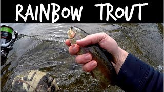 Catching Stocked Rainbow Trout at the Patapsco River in MD [upl. by Leinad85]