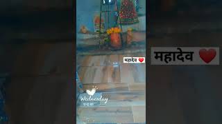 shiv mahakal mahadev everything viralvideo shortsfeed tranding [upl. by Rey]