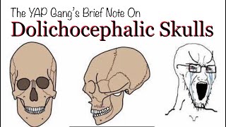 Brief Note on Dolichocephalic Skulls by the YAP Gang [upl. by Canute]