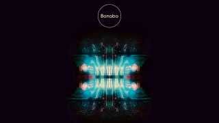 Bonobo  The North Borders Tour Live FULL ALBUM [upl. by Crescantia]