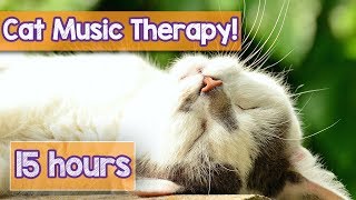 PET MUSIC THERAPY for Cats Natural Remedy to Anxiety and Loneliness DeStress and Relax Cats [upl. by Aracal224]