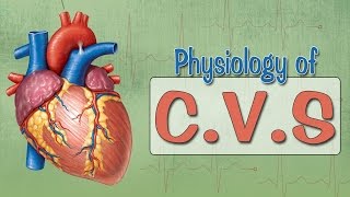 Easy Physiology  CVS  Introduction [upl. by Areik923]