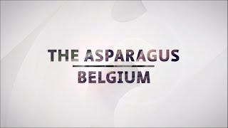 La culture de l’asperge – L’exemple de la Belgique – EP11 [upl. by Artenehs]