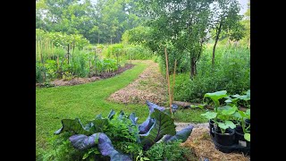 Permaculture and NatureGuided Design Q amp A PART 1 of Creating a PERMACULTURE FOOD FOREST [upl. by Budworth]