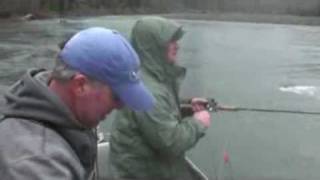 Hoh River Washington Steelhead Fishing [upl. by Hewe]