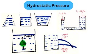 Hydrostatic Pressure  Atmospheric Pressure Buoyancy Pascals Law And Hydrostatic Paradox [upl. by Meneau]