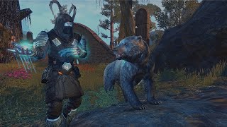 ESO  Magicka Warden Solo amp Duo PvP  Update 40 [upl. by Etty]