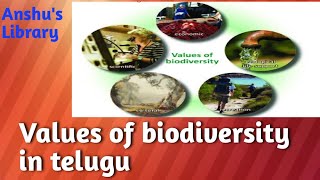 Biodiversity part5 Values of biodiversity in telugu [upl. by Ymaral136]