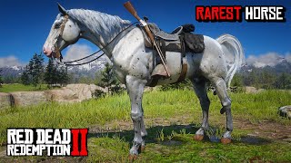 How To Get Free Missouri Fox Trotter Horse With Location  RDR2 [upl. by Inavihs959]