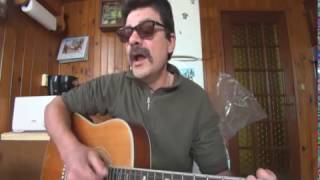 San Francisco MAXIME LE FORESTIER cover guitare [upl. by Rattray551]