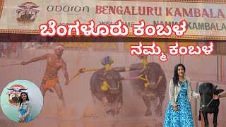 Bengaluru kambala✨  namma kambala  buffalo race  tulunad culture  Kambala vlog in Kannada [upl. by Elgna]