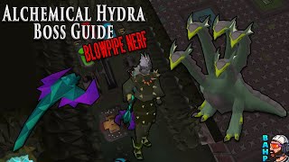 OSRS Hydra Boss Guide with Blowpipe Nerf [upl. by Alahc]