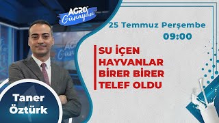 CANLI AGRO TV İle GÜNAYDIN  ÇİÇEK BALI REKOLTESİ BU YIL YÜZDE 50 DÜŞECEK [upl. by Yesor]