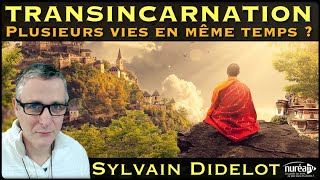 « Transincarnation  Plusieurs vies en même temps  » avec Sylvain Didelot [upl. by Aicenev534]