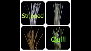 How to make Stripped Quill Jak wykonać quill z pawia [upl. by Stephanie]