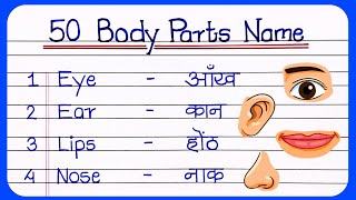 50 Body Parts Name In English and Hindi  body parts Name 50  शरीर के अंगों के नामangon ke naam [upl. by Atik984]