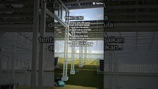 haya tech boyssola installer tenang is good [upl. by Nesyaj]