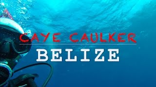 Diving Caye Caulker Belize [upl. by Rumit]