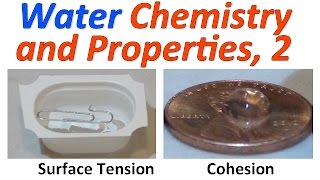 water Part 2 Demonstrations [upl. by Sumer]